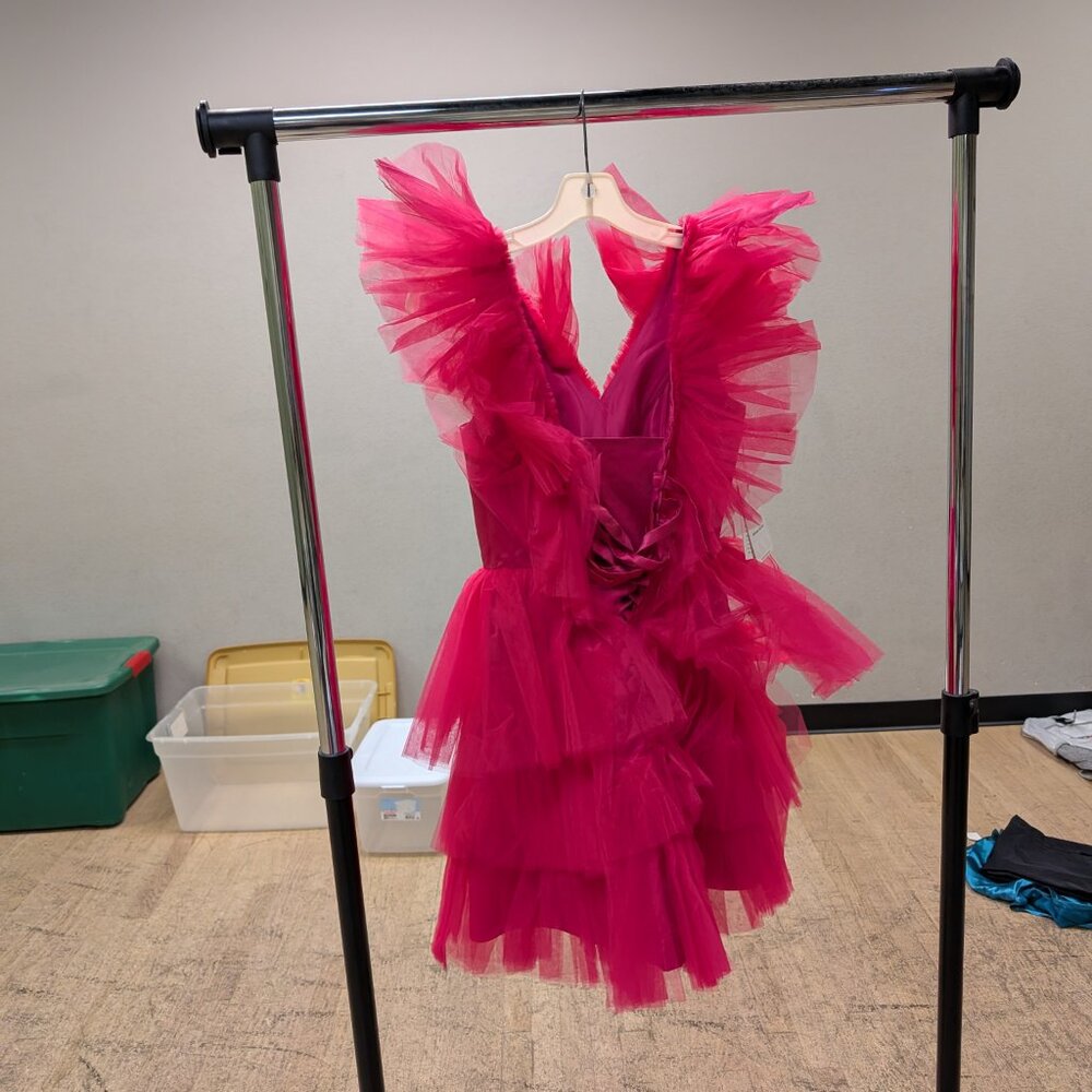 Pink Ruffle Dress - Picture 2 of 3